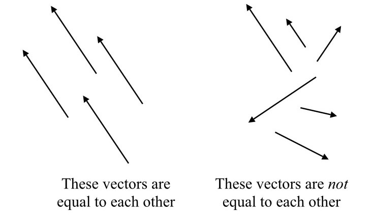 Vectors equal or not equal