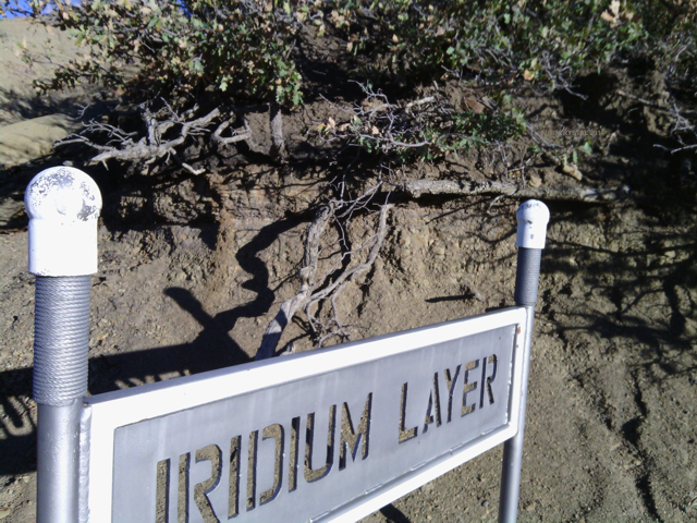 Iridium Layer